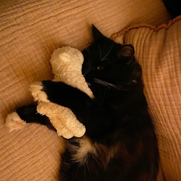 Meet your Posher, Alessandra - Picture 1 of 1